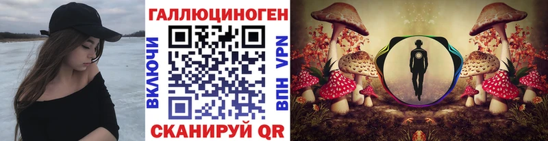Псилоцибиновые грибы GOLDEN TEACHER  mega маркетплейс  Удомля 